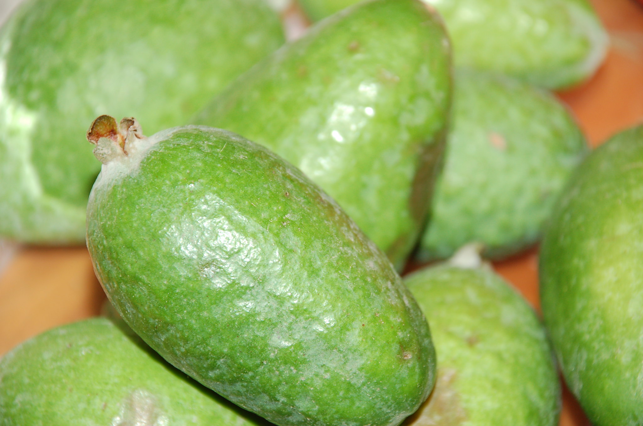 feijoa