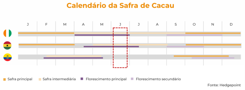 Infografico sobre produção de cacau 