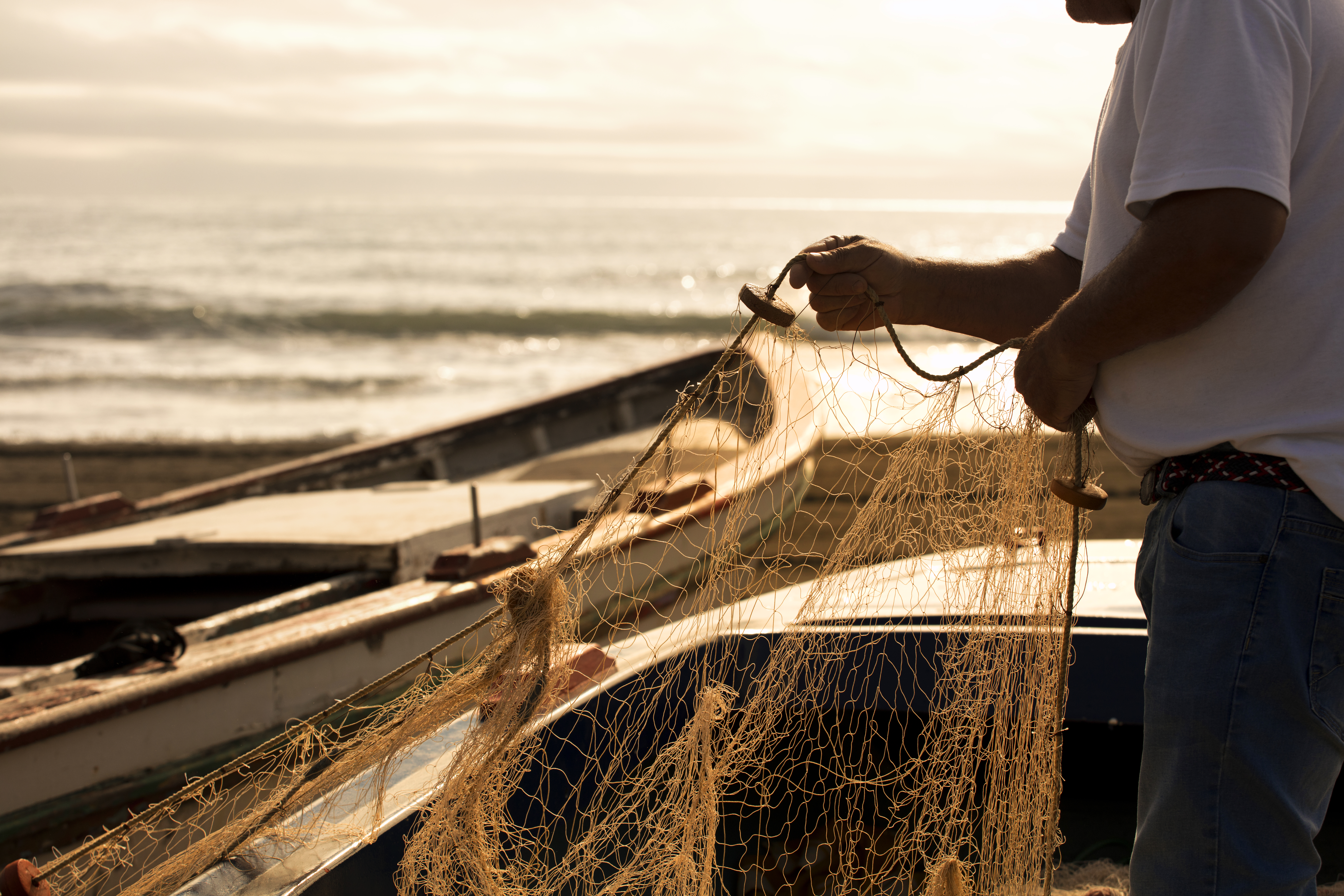 Plataforma reúne pesquisas inéditas sobre pesca artesanal no litoral de SP