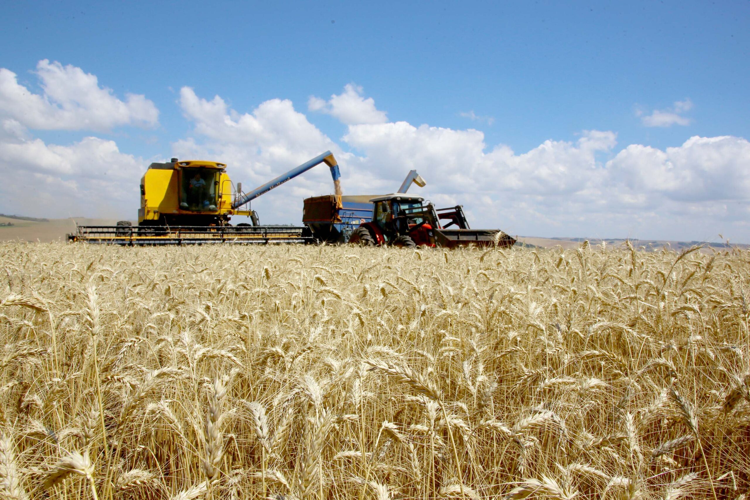 El Niño desestimula plantio e pode derrubar safras brasileiras