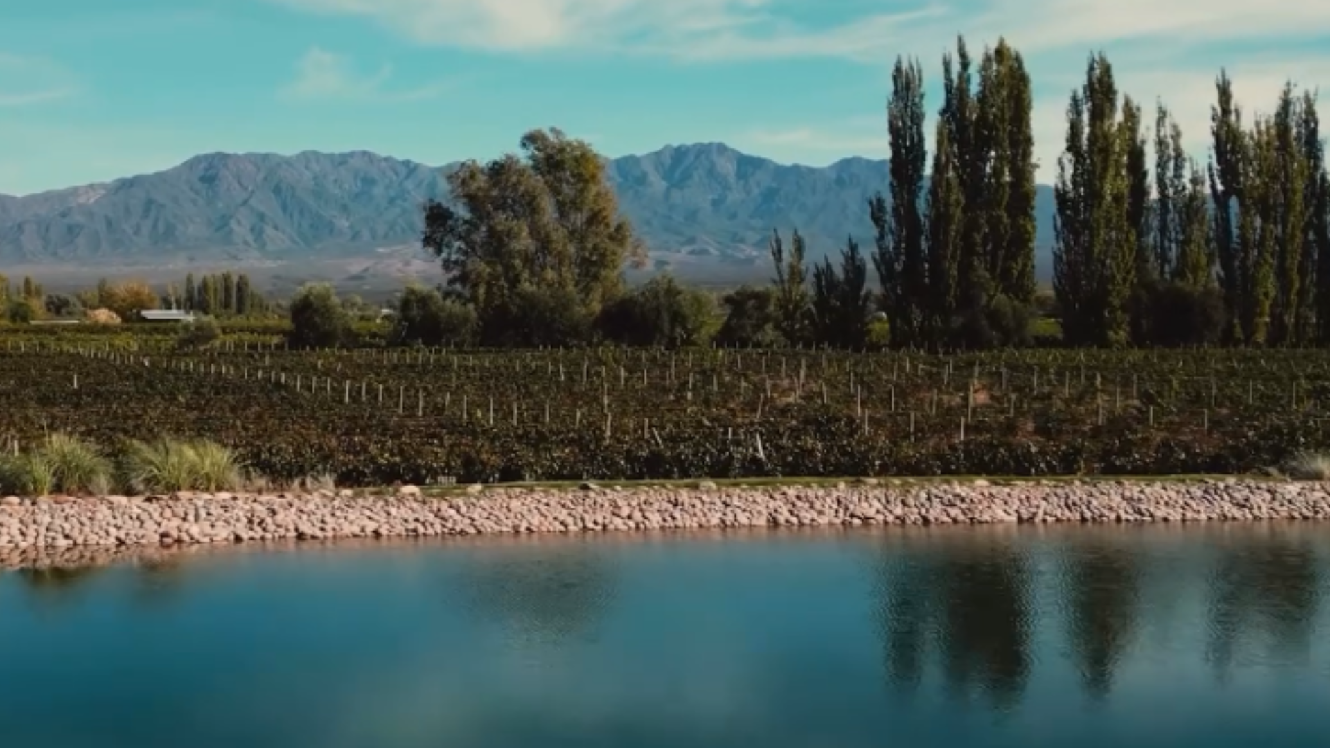 Craque da Argentina investe em vinícola com restaurante e hotel de luxo nos Andes