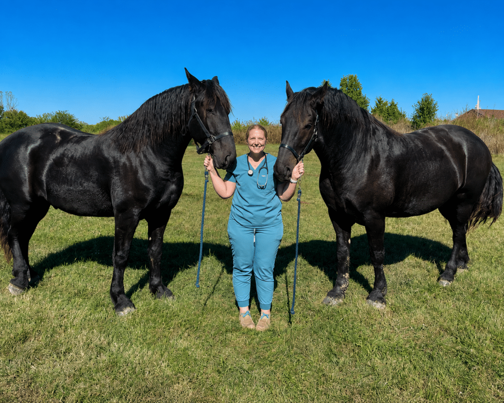 Médica veterinária com cavalos