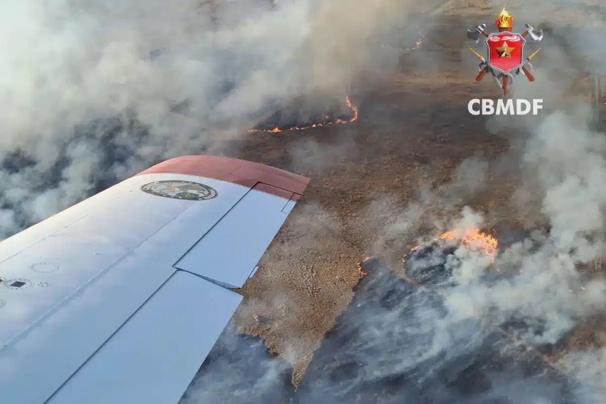 Imagens aéreas mostram incêndios destruindo vegetação em diferentes áreas do DF