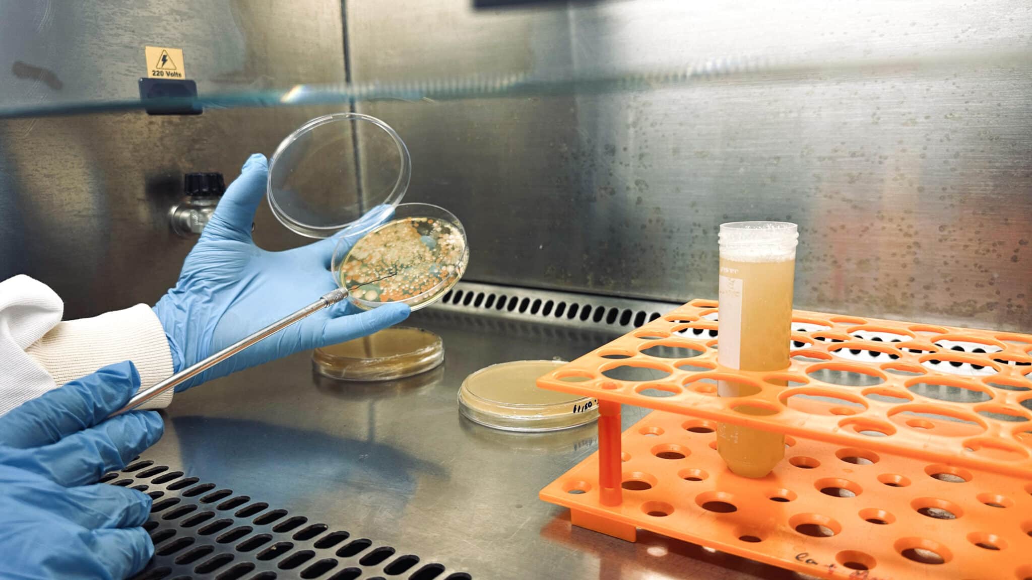 BNDES oferece R$ 40 milhões para projetos de bioinsumos; inscrições terminam em 31 de agosto