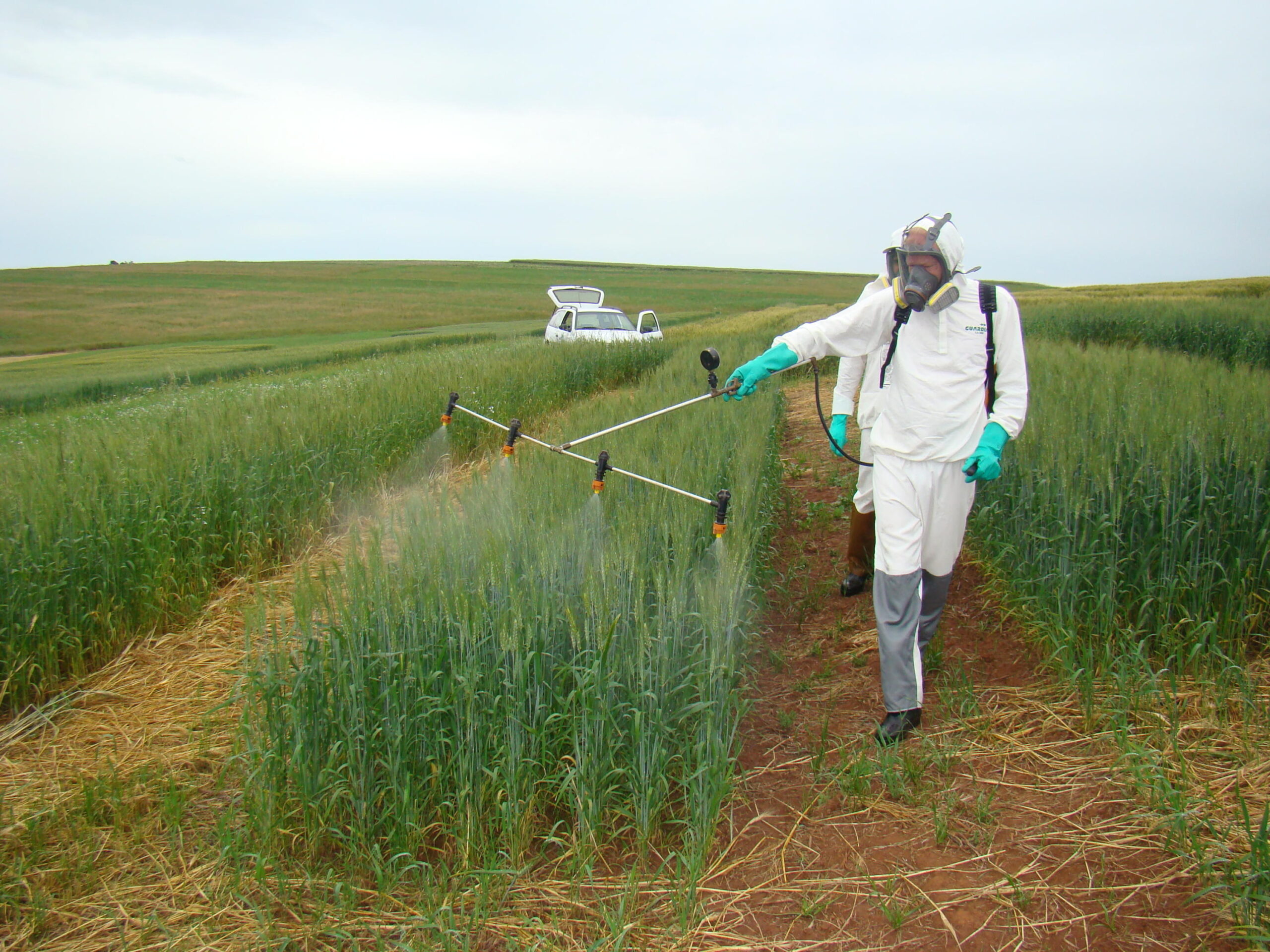 Lavoura: como calibrar um pulverizador agrícola