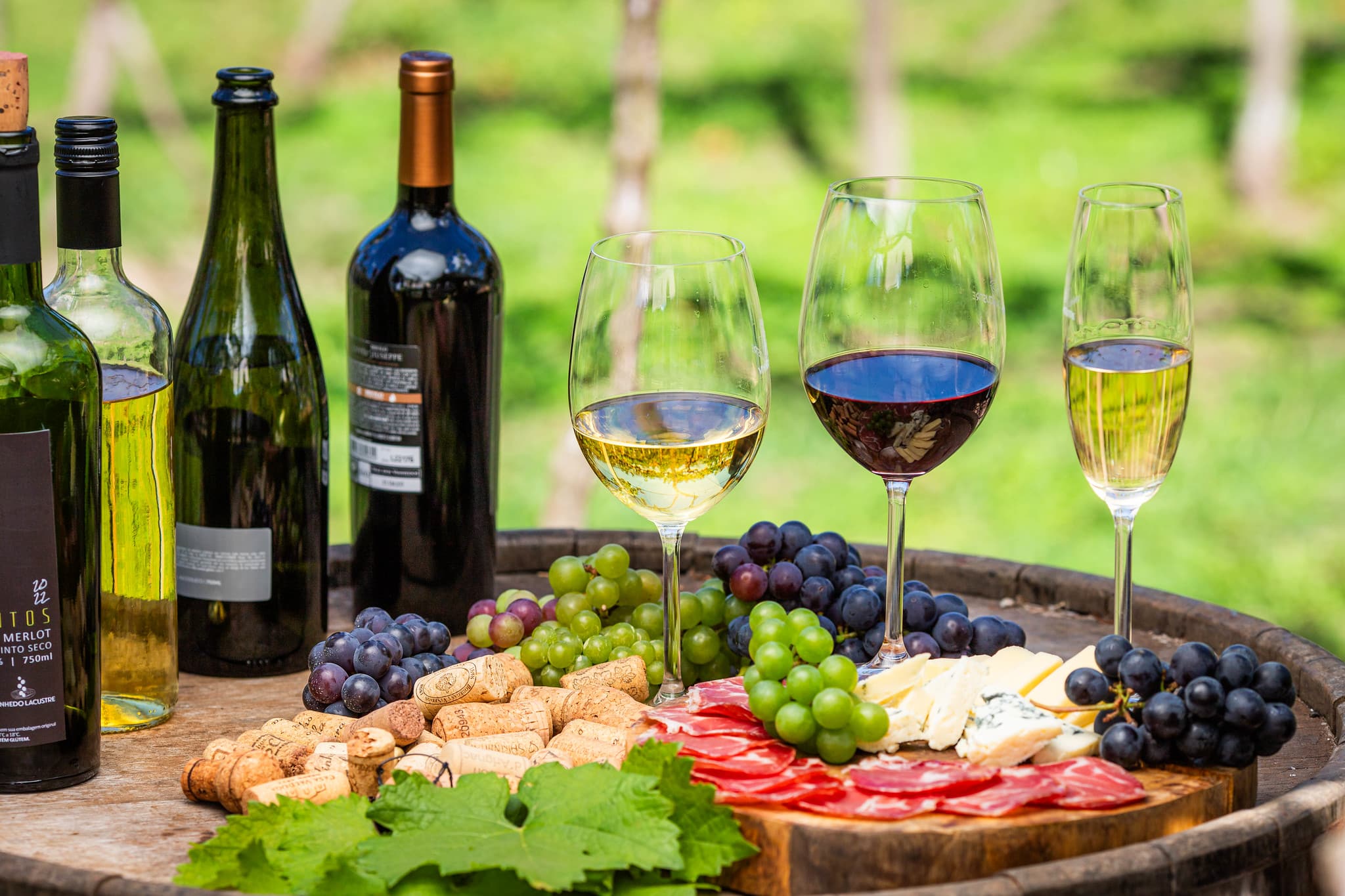 Vinhos do DF têm até três vezes mais compostos antioxidantes que rótulos internacionais, diz pesquisa